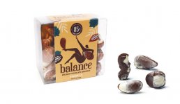 Chocolats belges fruits de mer sans sucre ajouté - 170g B