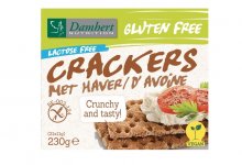 Crackers à l'avoine pauvre en sucre - 230 g - D